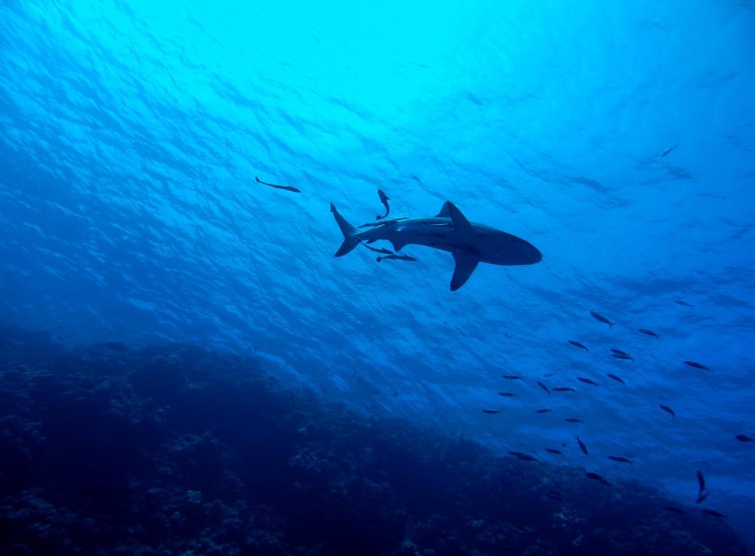震撼消息不断,一切都变了?很多事情依然迫在眉睫_震撼消息不断,一切都变了?很多事情依然迫在眉睫_